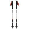 Black Diamond Expedition 2 Ski Poles 7