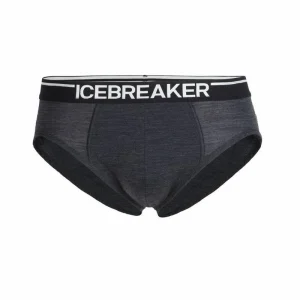 Nouveau 🎁 Icebreaker Anatomica Briefs – Slip homme 🛒 15