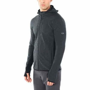 Promo ❤️ Icebreaker Descender LS Zip Hood – Polaire en laine mérinos homme I Hardloop 🛒 16