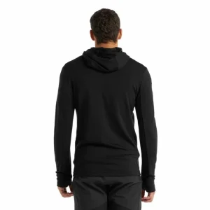 Acheter 💯 Icebreaker Quantum III LS Zip Hood – Polaire en laine mérinos homme I Hardloop 🧨 16