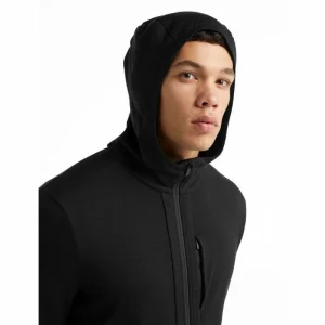 Acheter 💯 Icebreaker Quantum III LS Zip Hood – Polaire en laine mérinos homme I Hardloop 🧨 20