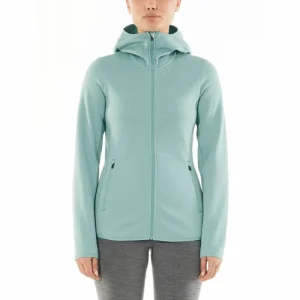 Meilleur prix 🧨 Icebreaker Wmns Elemental LS Zip Hood – Polaire en laine mérinos femme I Hardloop 😀 11