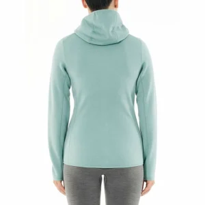 Meilleur prix 🧨 Icebreaker Wmns Elemental LS Zip Hood – Polaire en laine mérinos femme I Hardloop 😀 13