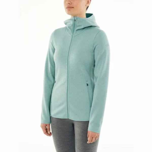 Meilleur prix 🧨 Icebreaker Wmns Elemental LS Zip Hood – Polaire en laine mérinos femme I Hardloop 😀 6