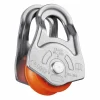 Meilleure affaire 🧨 Petzl Oscillante – Poulie 💯 14